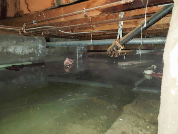 Best Residential Water Damage Restoration in St Peters, MO