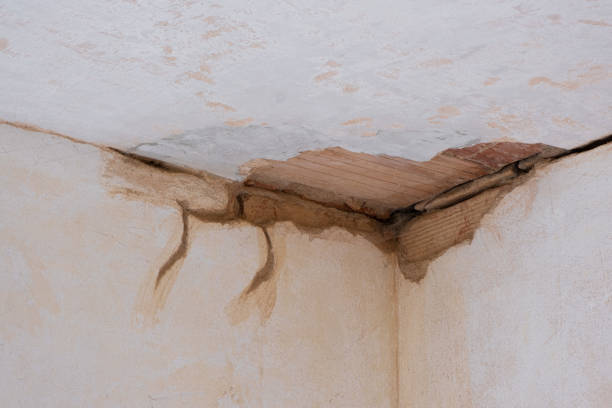 Best Crawl Space Water Damage Solutions in St Peters, MO