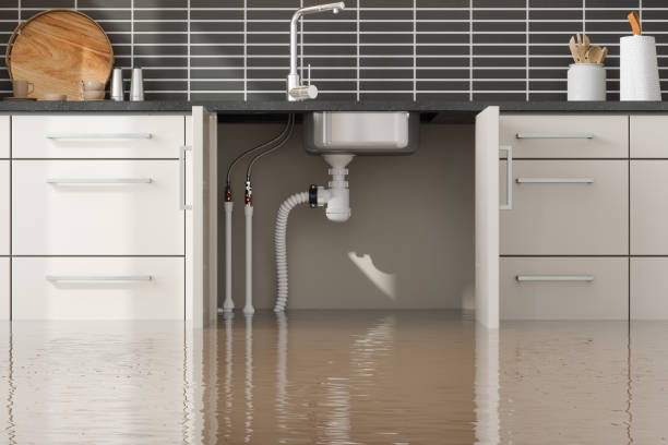 Best Commercial Water Damage Restoration in St Peters, MO